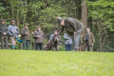 Hundepräsentation 2019